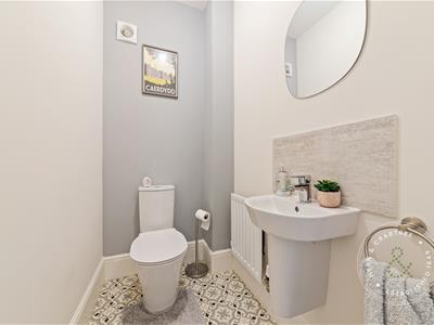 Picture 17